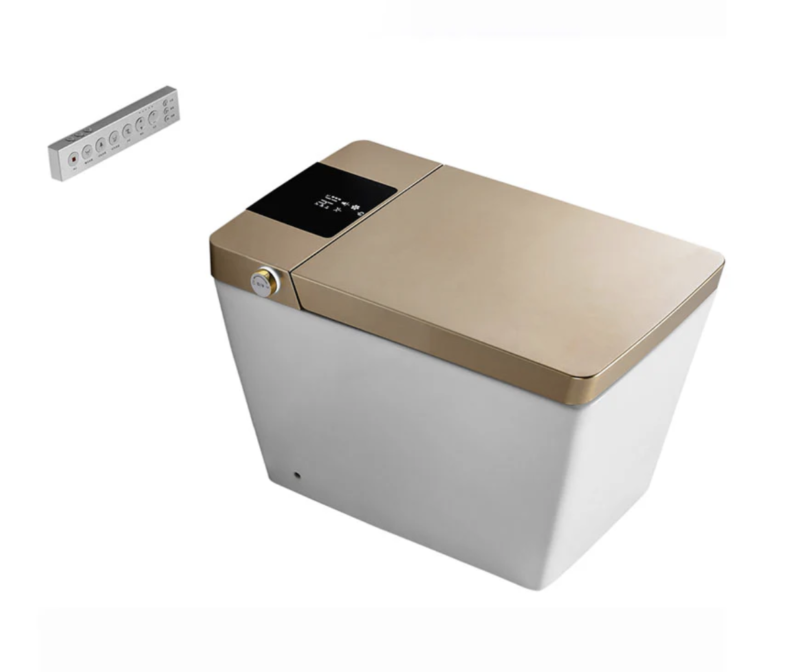 Smart Toilet